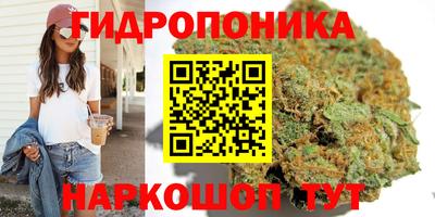 хмурый Кингисепп