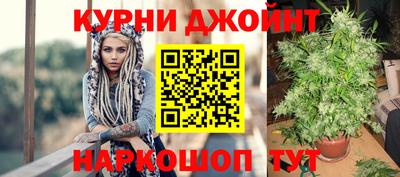 хмурый Кингисепп
