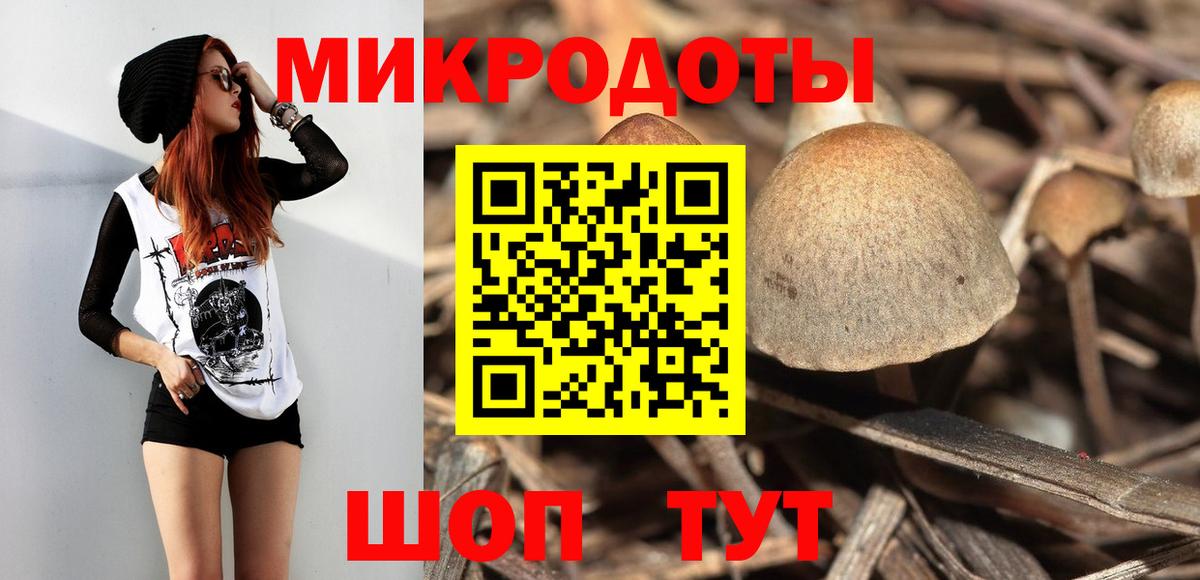 Галлюциногенные грибы MAGIC MUSHROOMS  Вход с VPN  Сибай  купить  сайты  Галлюциногенные грибы Cubensis 